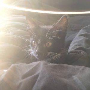 Meet your Posher, Autumn